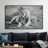 Canvas - Chic Lion
