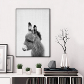 Toile - Mini Donkey