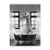 Canvas - Animal Bath