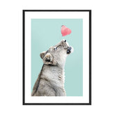 Canvas - Cool & Chic