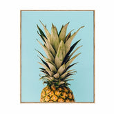 Canvas - Fashion Pineapple