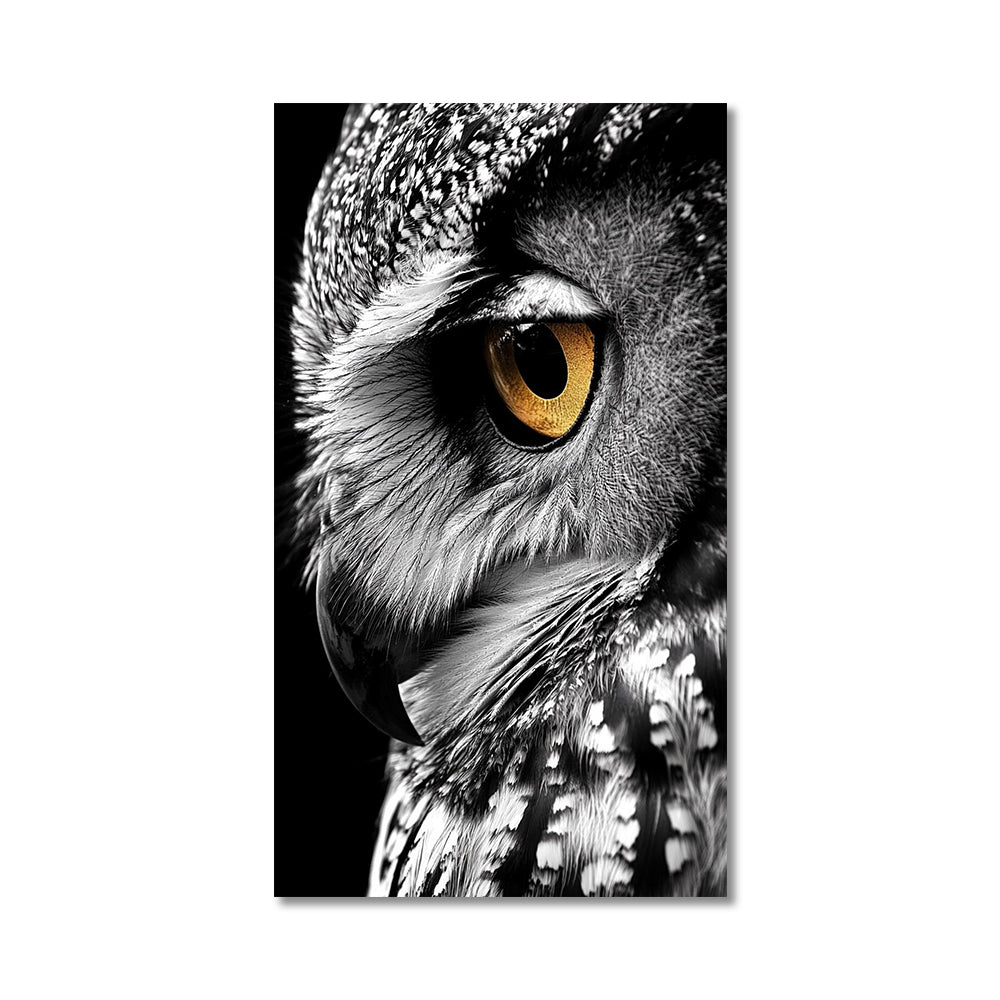 Toile - Owl Eyes
