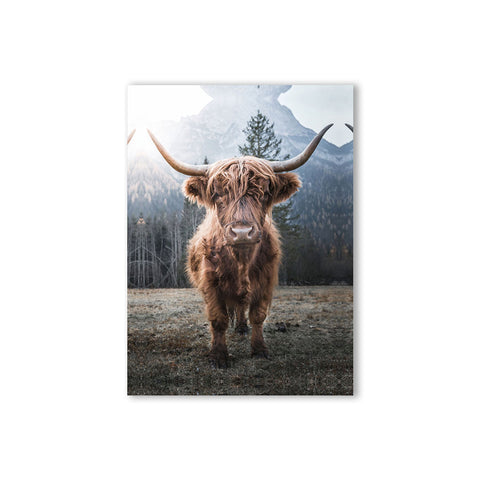 Toile - Highland cattle