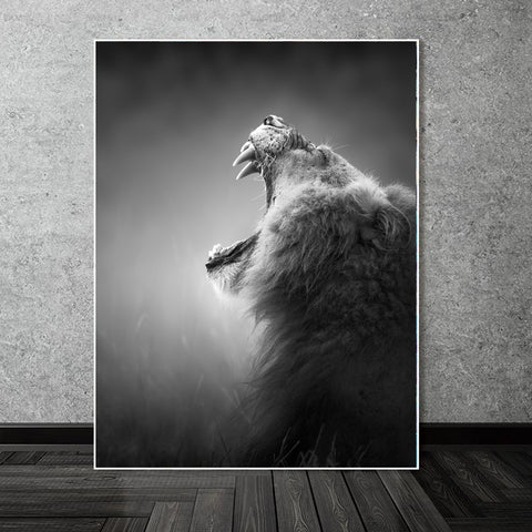 Canvas - Roar