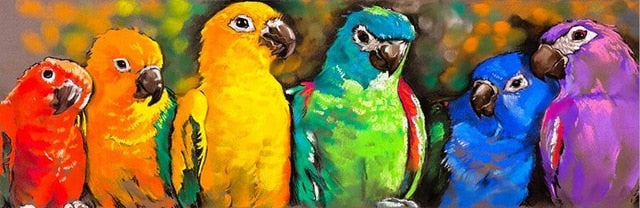 Toile - Color Birds