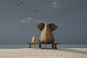 Canvas - Dog & Elephant