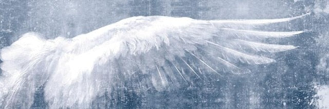 Toile - Angel Wings