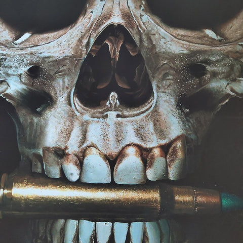 Toile - HeadShot