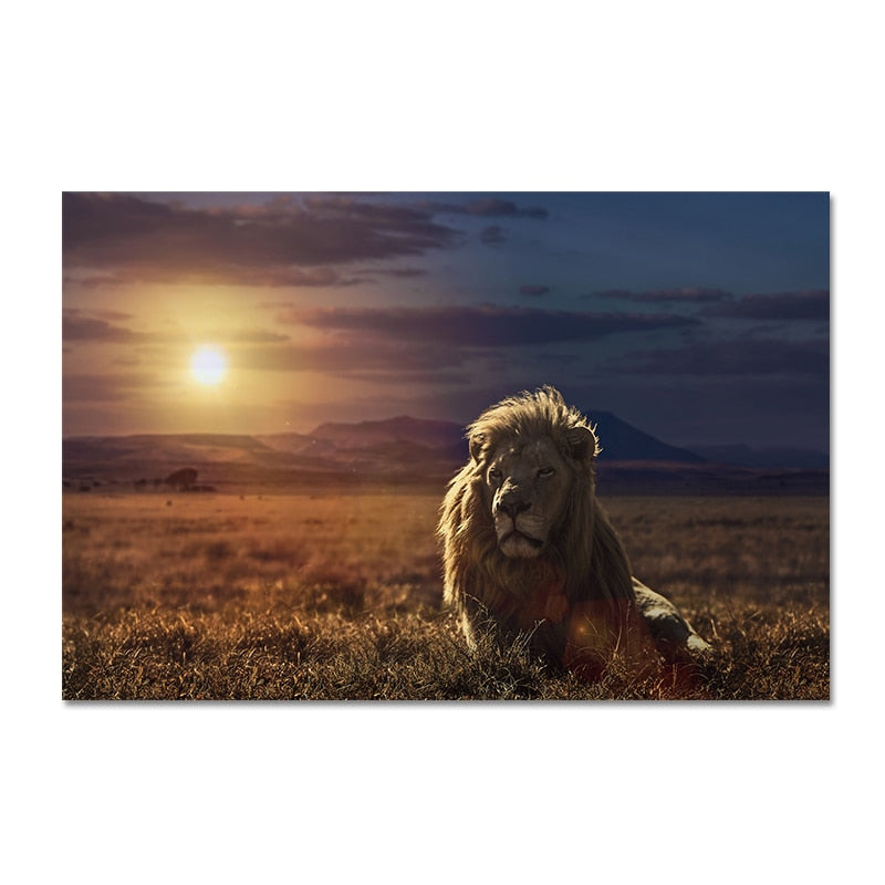 Toile - Lion Sunrise