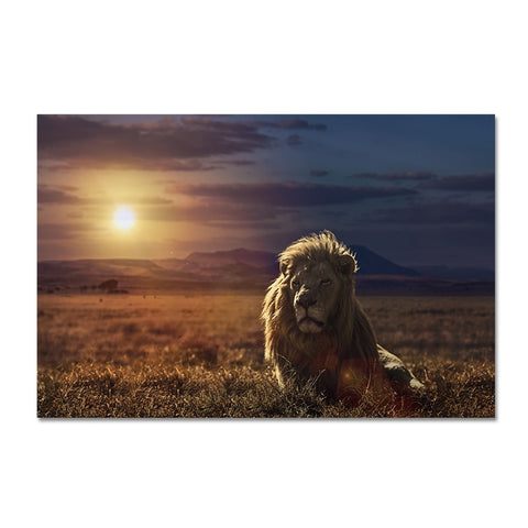 Toile - Lion Sunrise