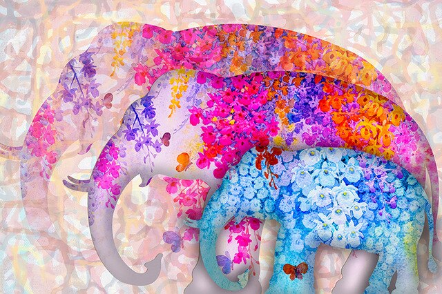 Toile - Colorful Elephant