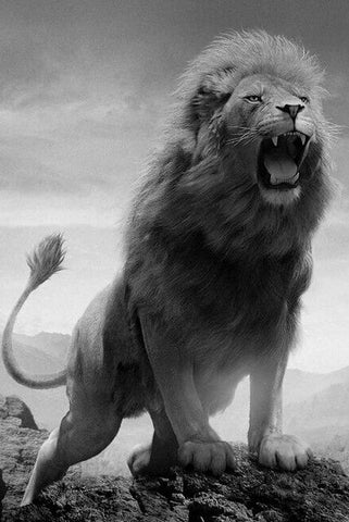 Canvas - Roaring