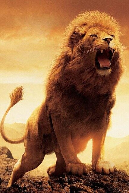 Canvas - Roaring