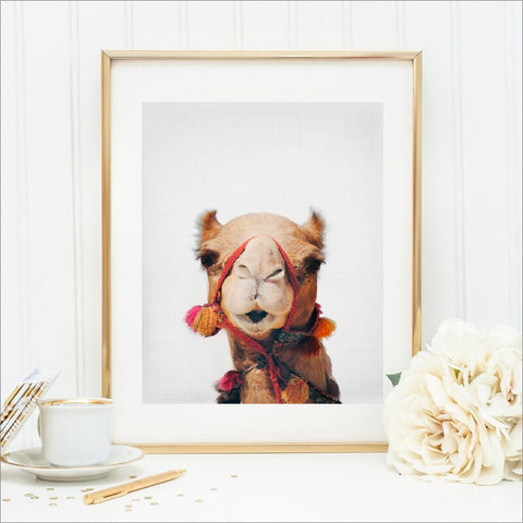 Canvas - Selfie Camel