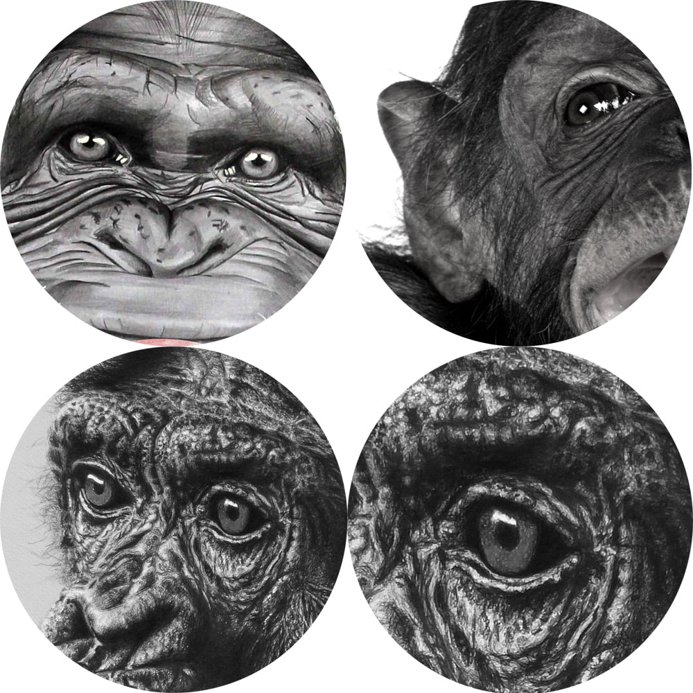 Canvas - Cute Monkeys
